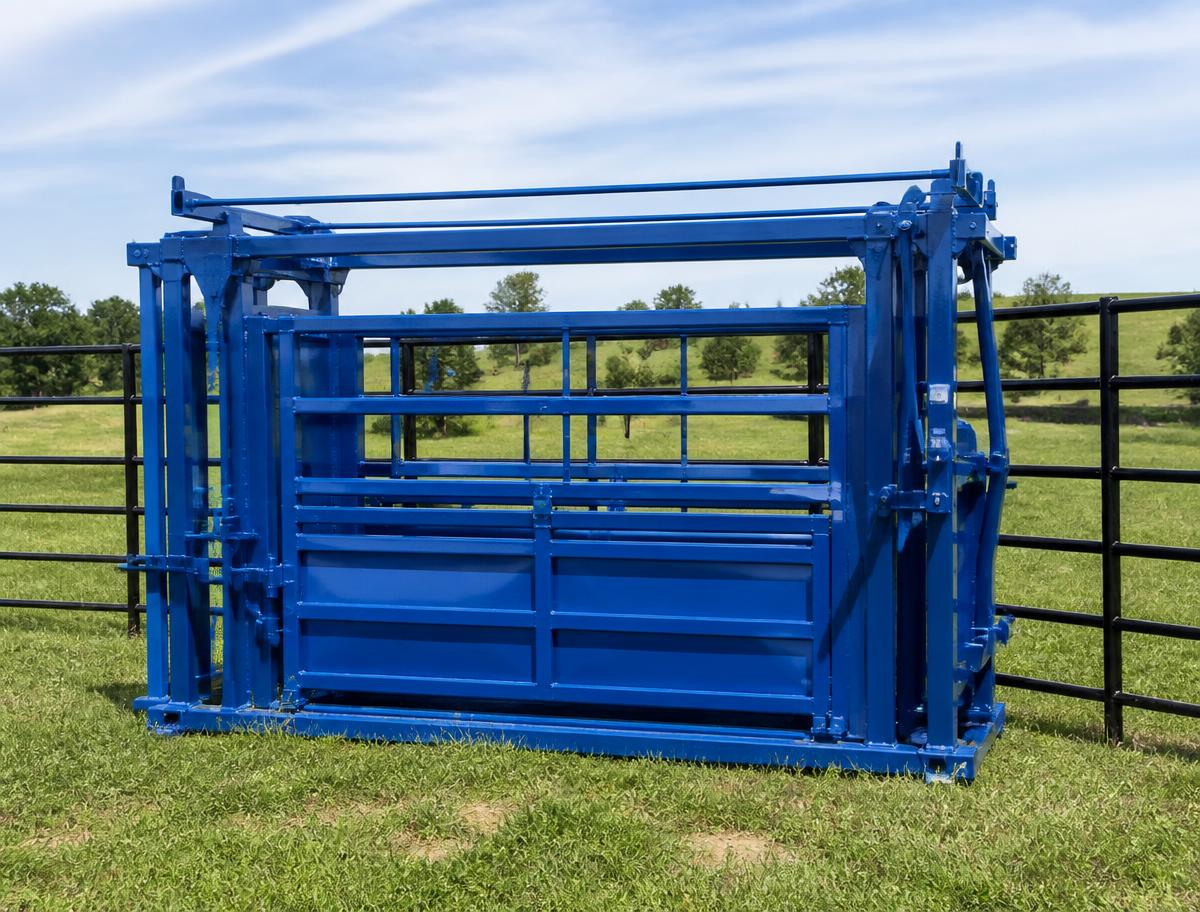 Blue steel cattle squeeze chute set up in a pasture